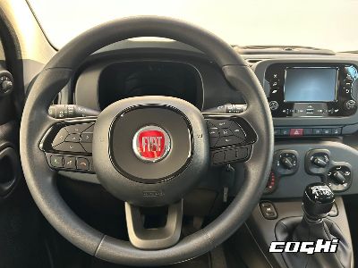 FIAT Panda 1.0 FireFly S&S Hybrid Icon foto 15