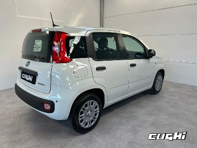 FIAT Panda 1.0 FireFly S&S Hybrid Icon foto 16