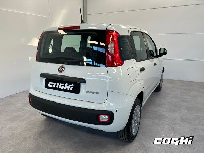 FIAT Panda 1.0 FireFly S&S Hybrid Icon foto 3