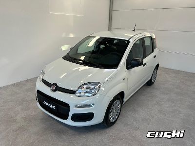 FIAT Panda 1.0 FireFly S&S Hybrid Icon foto 1