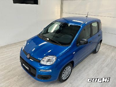 FIAT Panda 1.0 FireFly S&S Hybrid Icon foto 2