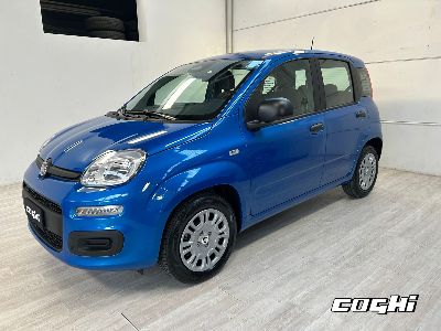 FIAT Panda 1.0 FireFly S&S Hybrid Icon foto 1
