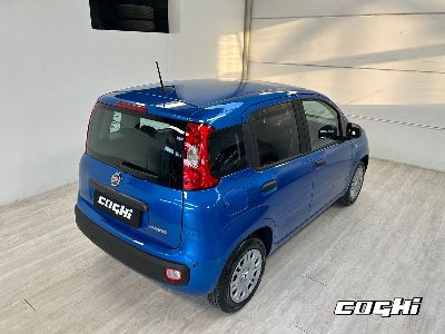 FIAT Panda 1.0 FireFly S&S Hybrid Icon foto 3