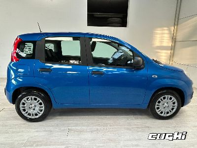 FIAT Panda 1.0 FireFly S&S Hybrid Icon foto 6