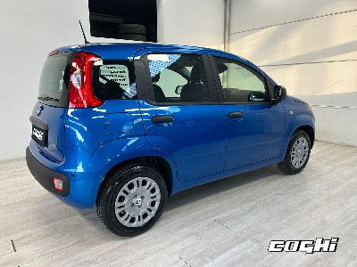 FIAT Panda 1.0 FireFly S&S Hybrid Icon foto 5