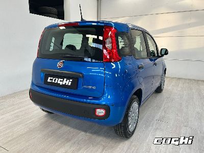 FIAT Panda 1.0 FireFly S&S Hybrid Icon foto 4