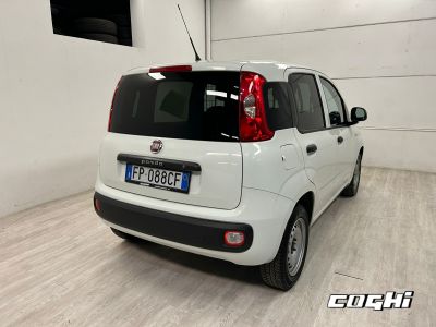 FIAT Panda 1.2 Pop Van 2 posti foto 9