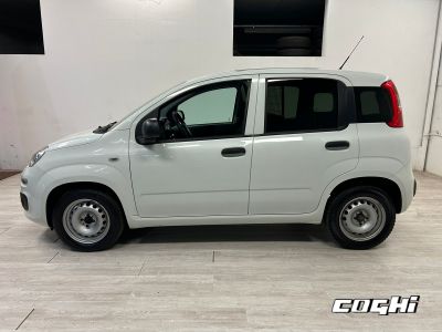 FIAT Panda 1.2 Pop Van 2 posti foto 11