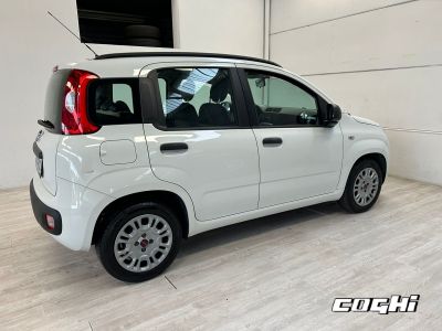 FIAT Panda 1.2 Pop foto 1