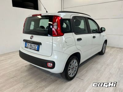 FIAT Panda 1.2 Pop foto 2