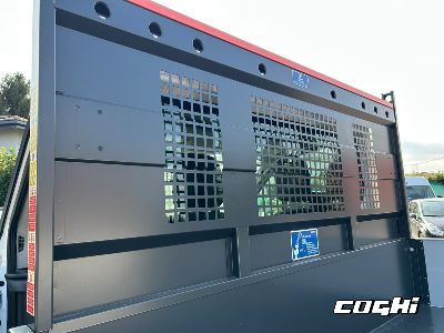 FORD Transit 350 2.0 EcoBl.130CV RWD PM-RG Cass. Trend Scattolini foto 6
