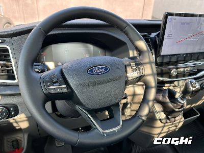 FORD Transit 350 2.0 EcoBl.130CV RWD PM-RG Cass. Trend Scattolini foto 9