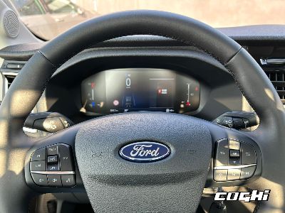 FORD Transit 350 2.0 EcoBl.130CV RWD PM-RG Cass. Trend Scattolini foto 10