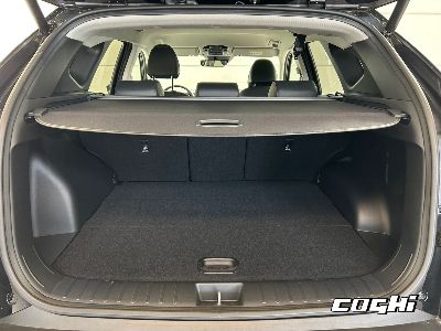 HYUNDAI Tucson 1.6 HEV aut.Exellence foto 5